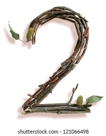 Photograph Of Natural Twig And Stick Number 2