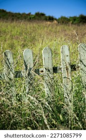 Photograph of an old green wooden fence in front of a field on the Brittany coast. - Shutterstock ID 2271085799
