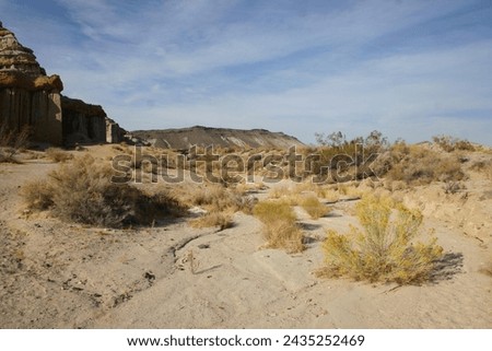 photograph of sandy desert washout in the arizona desert with sage brush and a colorful bluff