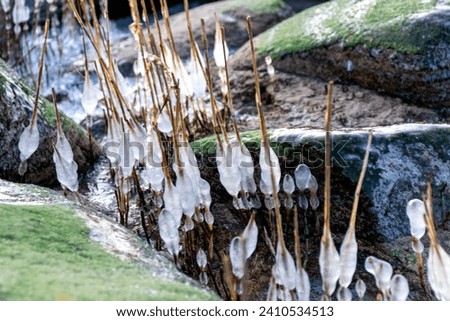 photograph of the seashore, rocky seashore, bare ice, blades of grass frozen with pieces of ice, natural formations