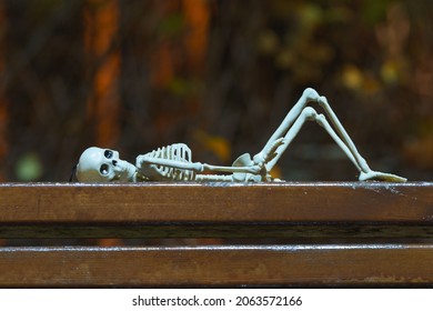 Photograph of a skeleton lies on a wooden bench at night. Tired abstract skeleton toy. Natural dark background. Halloween concept. Close up photography. Halloween theme