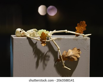Photograph of a skeleton lies on a wooden bench at night. Skeleton toy. Yellow oak leaves stuck to it. He's going to get up. Natural dark background. Halloween concept. Close up photography. 