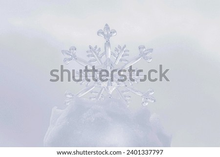 photograph of snowflake with white background