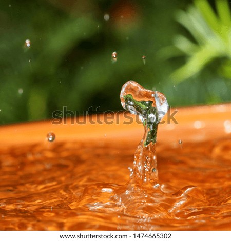 Similar – Image, Stock Photo raindrops falling Plant