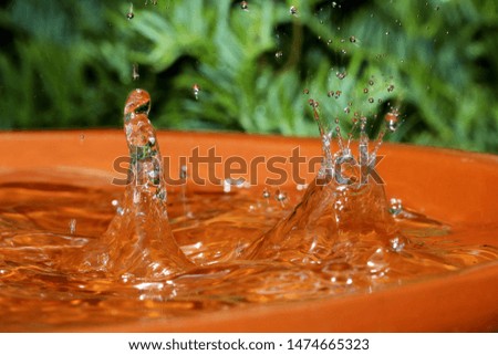 Similar – Image, Stock Photo raindrops falling Plant