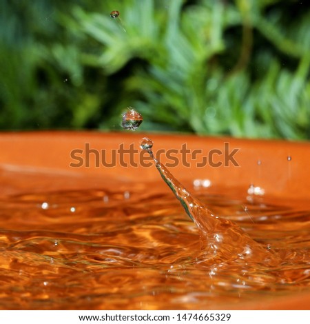 Similar – Image, Stock Photo raindrops falling Plant