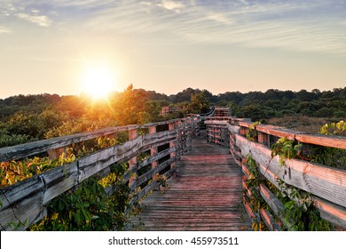 A photograph of a wooden boardwalk in Virginia Beach, Virginia at sunrise.