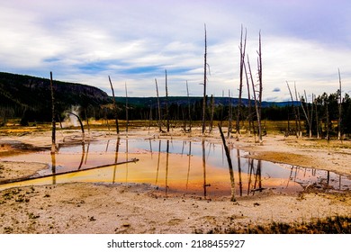 Photograph At The Yellow Stone Midway Geyser Trail