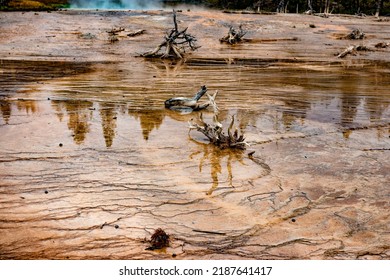 Photograph At The Yellow Stone National Park Midway Geyser Basin