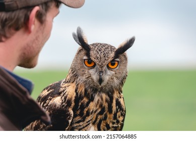 Photographer At The Bird Of Prey Show 