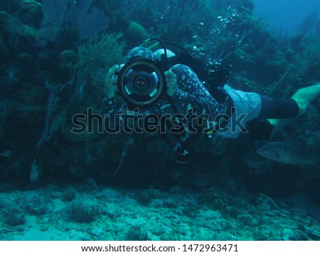 Photographer meets photographer reef scuba diving