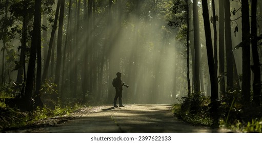 Photographer is taking photo while exploring in pine forest for with strong ray of sun light inside the misty pine forest for photography and silhouette photo - Powered by Shutterstock