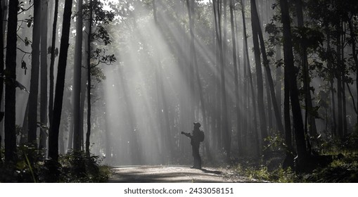 Photographer is taking photo while exploring in pine forest for with strong ray of sun light inside the misty pine forest for photography and silhouette photo - Powered by Shutterstock