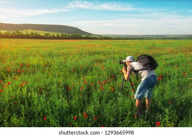 Photographer Taking Pictures Of Field With Poppies During Sunset 