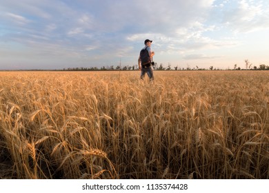 photographer while working search for a story / evening landscape man on the field - Shutterstock ID 1135374428