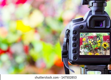 Photographic works, photograph - Powered by Shutterstock