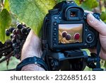 Photographic workshop scene in a vineyard
