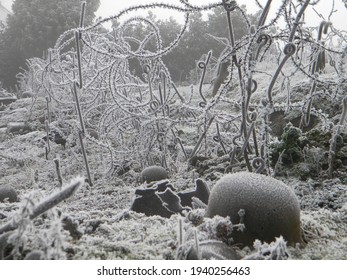 Photographies Taken During Winter About World War 1 ( Ww1 ) About Trench Relics