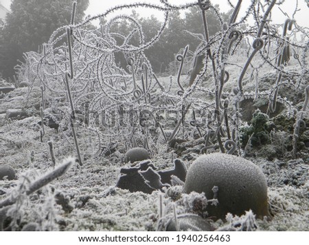 Photographies taken during winter about world war 1 ( ww1 ) about trench relics