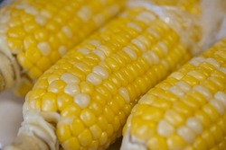 Photographing Delicious-looking Boiled Corn With A Macro Lens