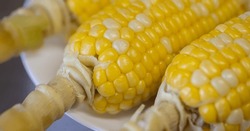 Photographing Delicious-looking Boiled Corn With A Macro Lens