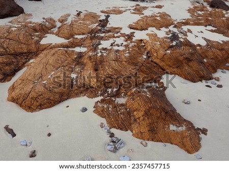 a photography of a beach with a lot of rocks and sand, sea - coast scene with a large rock formation and a beach.