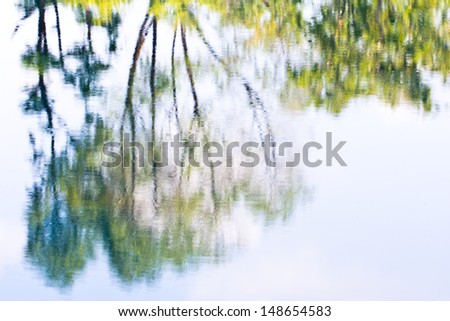 Photography blur tree reflection on water