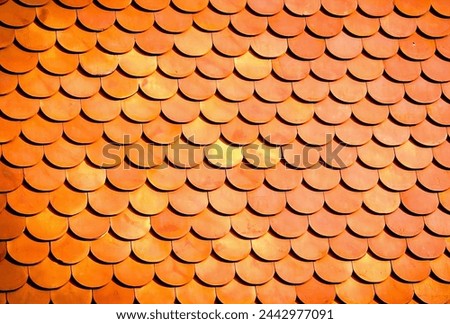 a photography of a close up of a roof with a lot of circles.
