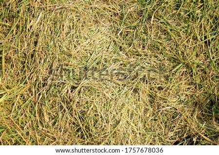 Photography of the haystack. the Texture is good for the background