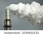 Photography of an industrial smokestack releasing a large plume of white smoke into the air. The image highlights the themes of pollution and industrial impact on the environment.