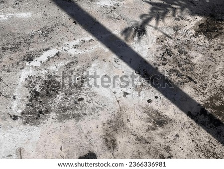 a photography of a person standing on a dirt road with a shadow of a tree, pole with a shadow of a person standing on it.