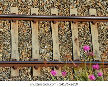 Photography of a railroad track