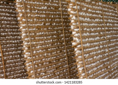 Photography Of Silk Production In Vietnam.