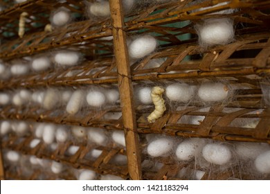 Photography Of Silk Production In Vietnam.