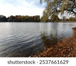 Photography taken at Hemlock Lake, October 2024