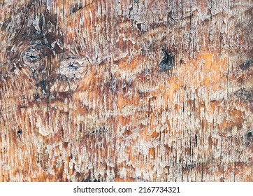 Photography Of Textured Hardwood Copy Space With No People Picture With Structure Element Of A Death Material With Black Worn Wholes, Ugly Dirty Cracked Rustic Silver Surface.