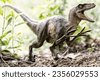 velociraptor forest