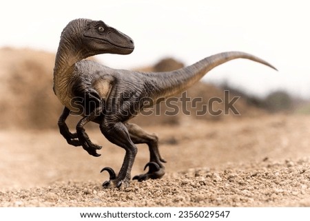 Photography of Velociraptor in outdoor