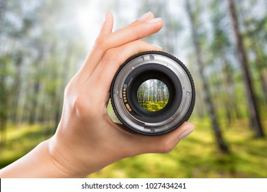 Photography View Camera Photographer Lens Forest Trees Lense Through Video Photo Digital Glass Hand Blurred Focus People Concept - Stock Image