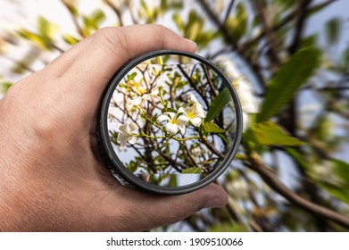 Photography View Camera Photographer Lens Lense Through Video Photo Digital Glass Hand Blurred Focus People Sun Sunset Sunrise Cloud Sky Water Lake Concept - Stock Image Hand Holding A Lens Camera Tra