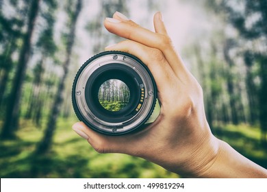 Photography View Camera Photographer Lens Forest Trees Lense Through Video Photo Digital Glass Hand Blurred Focus People Concept - Stock Image