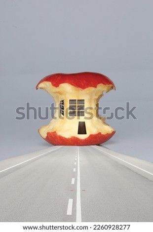 Photomanipulation with Apples and object