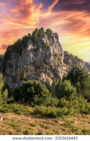 Similar – Image, Stock Photo ray of hope trees Shadow