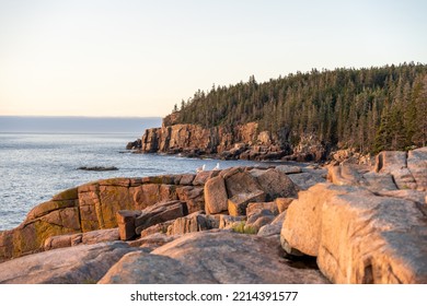 Photos Of Bar Harbor, ME During Sunrise. 