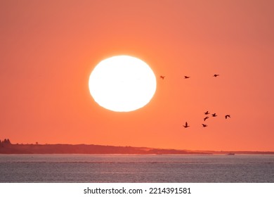 Photos Of Bar Harbor, ME During Sunrise. 