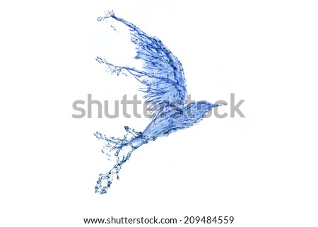 Photos of birds made ??of water lines.