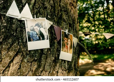 Photos Of Couple And Ribbons Hanging On Tree, Handmade Adorning And Arrangement At Celebration Events, Bridal Shower, Photo Booth