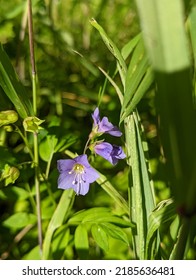 Photos Of The Delaware Landscape.