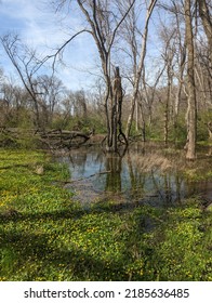 Photos Of The Delaware Landscape.