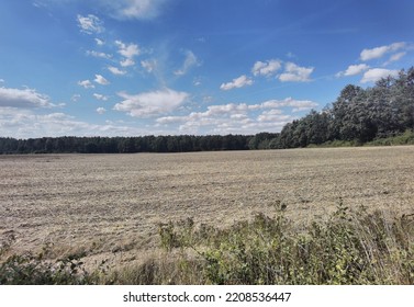 Photos Of Nature In Northern Germany 